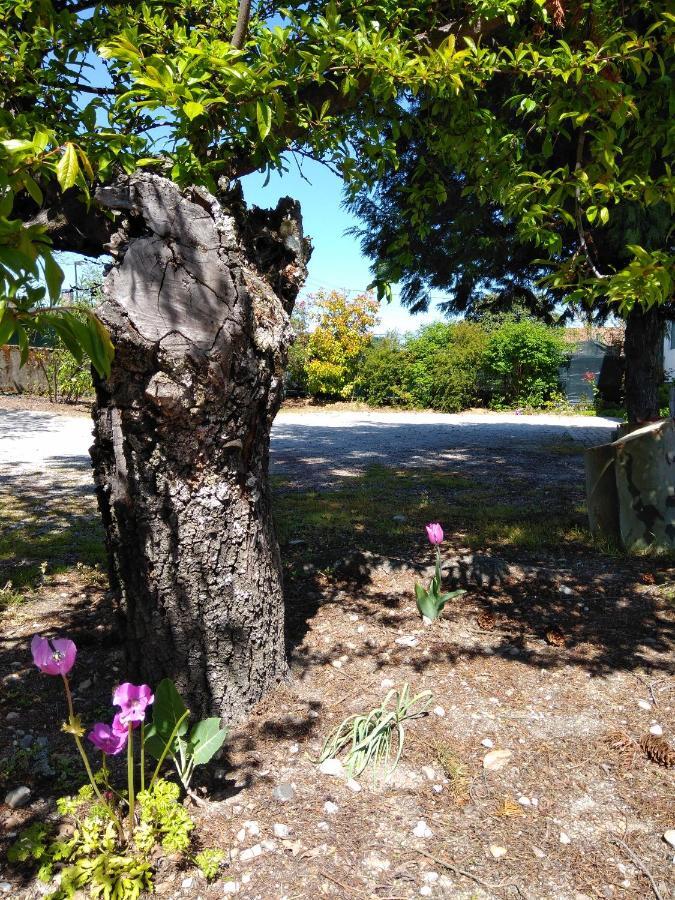 Quinta Do Sol Leilighet Alijó Eksteriør bilde